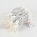 Novelty Lights 22 Feet 100 Bulb Incandescent Mini Light String, Clear with 2.5-Inch Spacing on White Wire, UL Listed Commercial Grade Indoor/Outdoor Mini Lights, Connectable End-to-End
