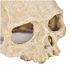 LUCKFY Fish Tank Decoration Rettile Hideout Skull Acquario Rettilario del Cranio della Resina Cave Famiglia giornaliera… - immagine 6