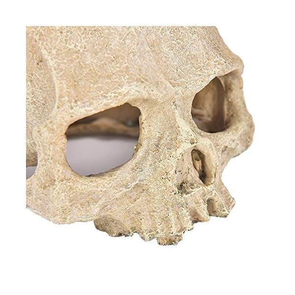 LUCKFY Fish Tank Decoration Rettile Hideout Skull Acquario Rettilario del Cranio della Resina Cave Famiglia giornaliera…