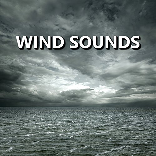 Distinctive Storm Wind Sounds by Wind Sounds on Amazon Music