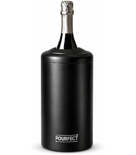 Waring Pro PC100 Wine Chiller, Black : Amazon.ca: Home