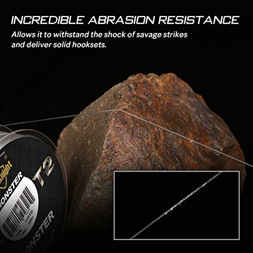 Seaknight T2 Fluorocarbone Peche Carpe Ligne De Guidage Invisible De Fluo Fil De Pêche 100m/110yds