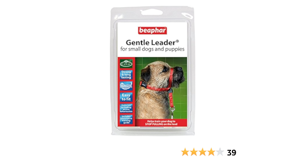 Amazon Com Beaphar Gentle Leader For Small Dogs And Puppies S Size Red Lead Misc By Beaphar Pet Supplies