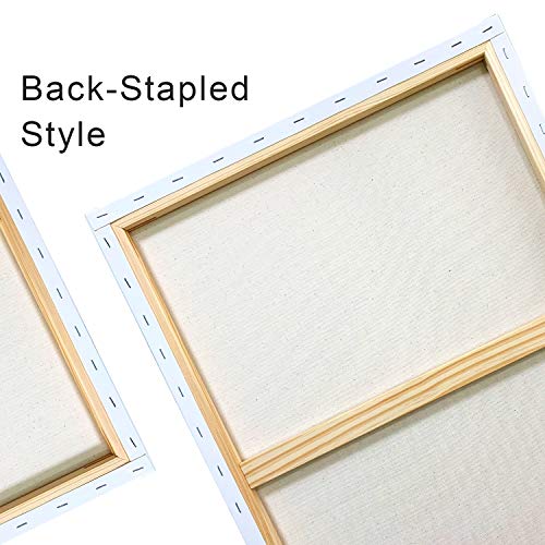 4 PHOENIX+Pre+Stretched+Canvas+Painting