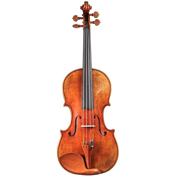Amazon.com: Andreas Eastman Model 305 Violin w/FREE Violin Case (4 