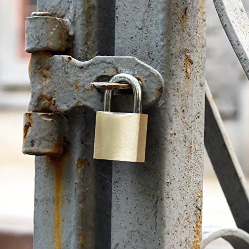 SEPOX 40mm Solid Brass Padlock Pack of 2