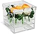 Better Display Cases Clear Acrylic Flowers Display Case with Drawer for Wedding and Home, 9 Holes (A053-A-FL)