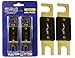 Absolute USA ANL60-2 2 Pack ANL 60 Amp Gold Plated Fuse