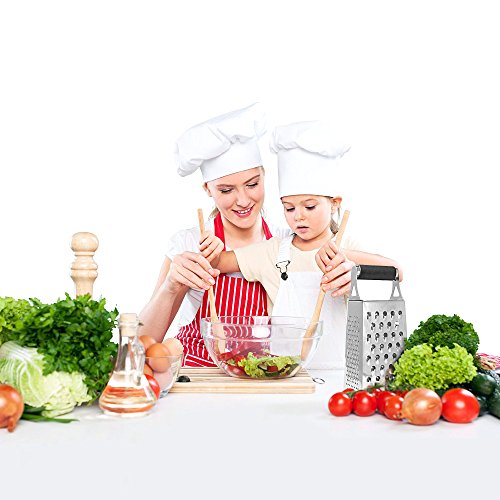 Cheese Grater & Shredder - Stainless Steel - 4 Sided Boxed Grater - Large Grating Surface with Razor Sharp Blades - Perfect to Slice, Grate, Shred & Zest Fruits, Vegetables, Cheeses, Chocolate & More!