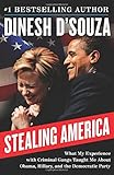 Stealing America: What My Experience with Criminal Gangs Taught Me about Obama, Hillary, and the Democratic Party
