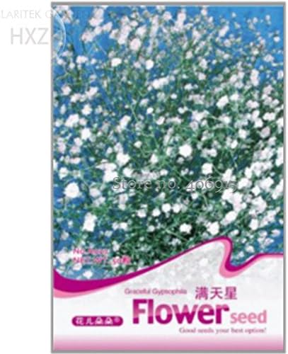 New Graceful Gypsophila Seeds Potted Xia Grass, Original Pack, 50+ seeds, white gypsophila paniculata seeds ornamental flowers A027