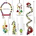 PETUOL Bird Swing Toys, 5 Colorful Hanging Loofah Toys for Small to Medium Parrots, Parakeets, and Lovebirds