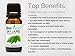 BioFinest Bay Laurel Oil - 100% Pure Bay Laurel Essential Oil - Boost Mental Alertness, Fight Fatigue - Premium Quality - Therapeutic Grade - Best For Aromatherapy - FREE E-Book (10ml)
