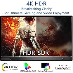 Portable Monitor 4K - 17.3 Inch UHD FreeSync HDR