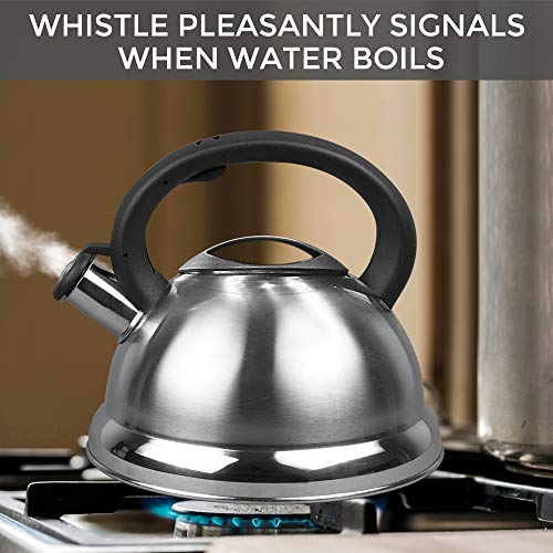 WHISTLING STAINLESS STEEL TEA KETTLE WITH SOFT GRIP HANDLE BY AMERICAN DREAM- STOVETOP POT (3.2 QT, Stainless Steel)