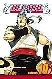 Bleach, Volume 10