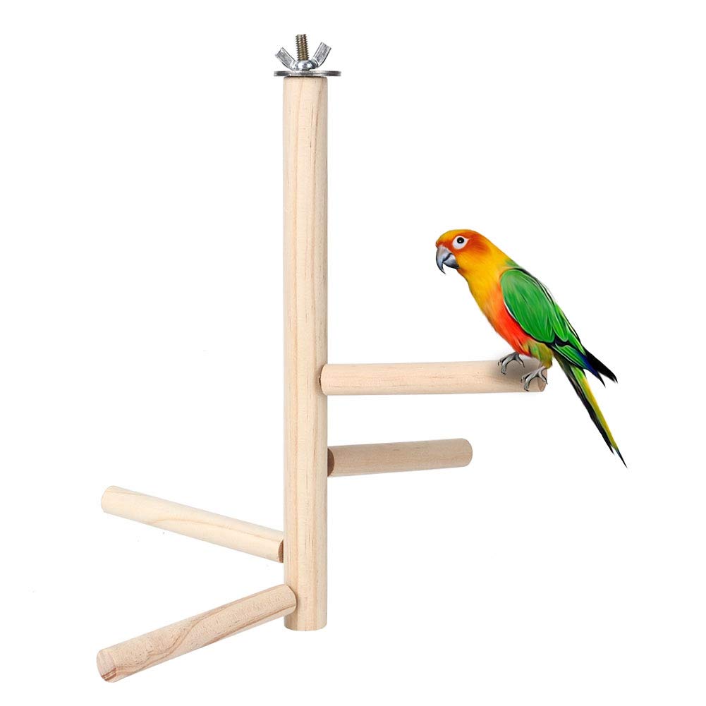 Wooden Parrot Training Perch, Birds Stand Portable Training Play Gym Bird Cage Stand for Parrots