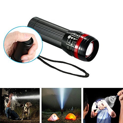 Pack of 4 Colorful Flashlights, KNGUVTH Portable Small 150 Lumens LED
