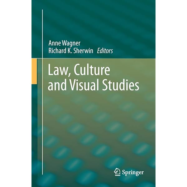Amazon.com: The Feminism and Visual Culture Reader (In Sight