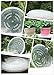 Peicees Extra-Thick Round Clear Plant Pot Saucers Resin for Outdoor Indoor Use Assorted 6