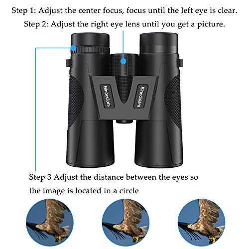 Fernglas 12 * 42 wasserdicht, Fernglas mit Nachsicht, Faltbares langlebiges Fernglas BAK4 FMC und Weitwinkelokular… – Bild 6