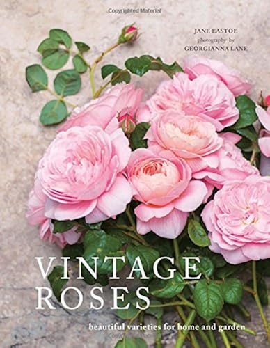 Download Vintage Roses: Beautiful Varieties for Home and Garden PDF