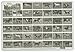 Painless Learning Popular Horses Placemat