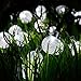 Bolansi Outdoor Solar String Lights 60LED 33FT Crystal Globe Balls Patio Lights with 8 Modes Waterproof Solar Powered for Garden Xmas Yard Home Party Porch Wedding Christmas Trss Decor (Cool White)