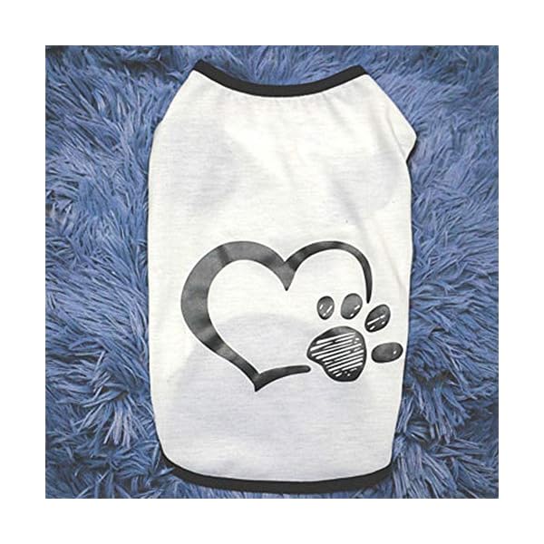 WFWUK Vestiti per Cani Taglia Media Cappottino Cane Estate Abbigliamento Cani Estate Vestiti Carini Vestiti per Cuccioli…