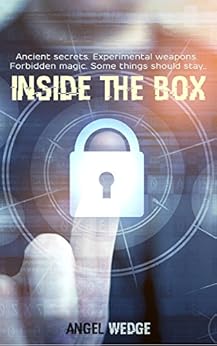 Inside the Box by Angel Wedge