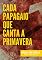 Livro Cada Papagaio que Canta a Primavera