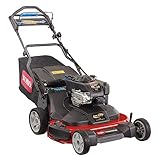 TimeMaster 30 in. Briggs & Stratton Personal Pace Self-Propelled Walk-Behind Gas Lawn Mower with