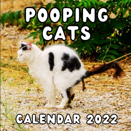 Pooping Cats Calendar 2022 Funny Monthly Joke Calendar With