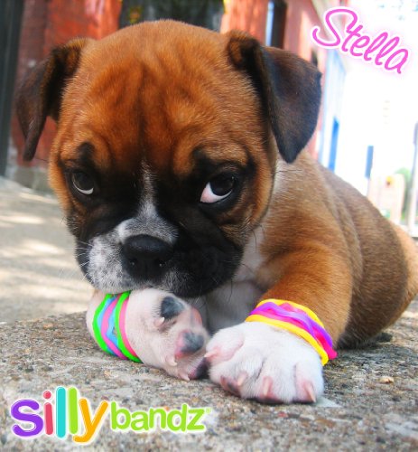 2 Silly+Bandz+Princess+24+Pack