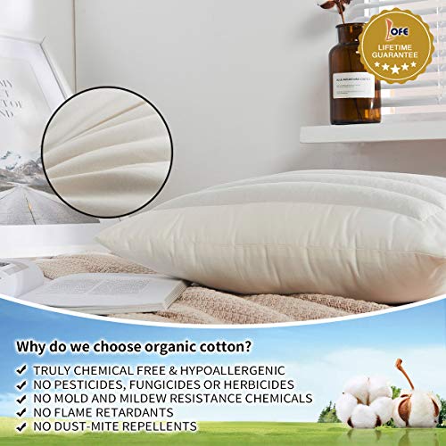 Lofe Buckwheat Pillow for Sleeping, Organic Cotton Shell, Adjustable Loft, Japanese Size(14x20), Breathable for Cool Sleep, Cervical Support for Back and Side Sleepers