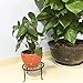 Mid Century Plant Stand - Indoor Plant Stand - Rockbirds Adjustable Modern Indoor Plant Holder Width 8'' to 12'' Planter (Plant and Pot Not Included)