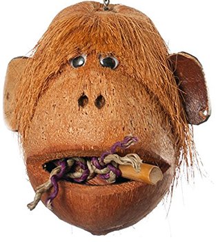 Coco Head Bird Foraging Toys (Monkey Coco Head)