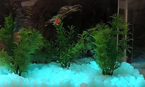 Aqua Glow-in-the-Dark Fish Tank SMALL Rubble 8oz ~ Glow Pebbles ~ Aquarium Gravel