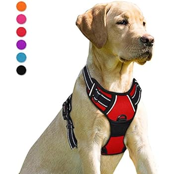 BARKBAY No Pull Dog Harness Front Clip Heavy Duty Reflective Easy Control Handle for Large Dog Walking