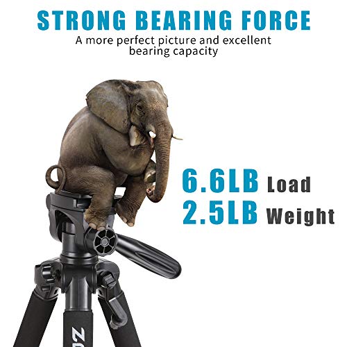 ZOMEI 55" Lightweight Compact Travel Portable Camera Tripod for Canon Nikon Sony DSLR Camera Video with Carrying Bag(Blue) - Thumbnail 4
