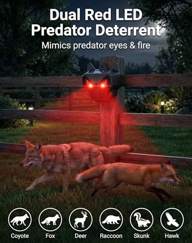 Coyote Deterrent Light Not Turning On At Night? 5 Fixes Before You Replace It 9 Thumbnail 9