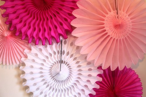 Tissue Paper Fan Collection - 5 Large Assorted Fan, 18 and 13 inches (Pink and White)
