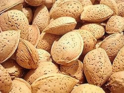 Natural In Shell Raw California Almonds