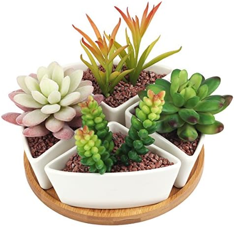Succulent Planter, Digsky Modern White Ceramic Cactus Flower Pot Plant Pot with Bamboo Tray (Triangle)