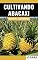 Livro Cultivando Abacaxi | Alta Produtividade