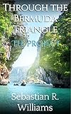 The Project (Through the Bermuda Triangle Book 3)