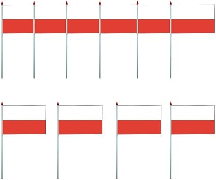 Amazon Com Koo Interactive Poland 10 Flag Set Polish Banner