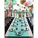 HEARTFEEL Bridal Shower Decorations Mint Baby Pink White Gold Tissue Pom Poms Paper Flowers Ball Tassel Garland Best for Mint Theme Party Decorations Birthday Baby Shower Wedding Nursery Decoration