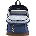 JanSport Disney Right Pack Expressions Laptop Backpack (Mickey Floral)