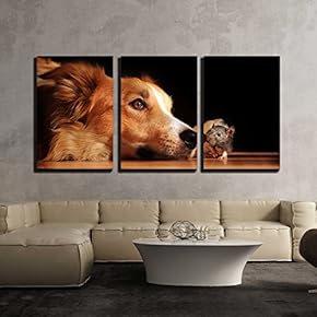 3 Piece Canvas Wall Art - Dog and Mouse are Friends at Home - Modern Home Art Stretched and Framed Ready to Hang - 16"x24"x3 Panels
